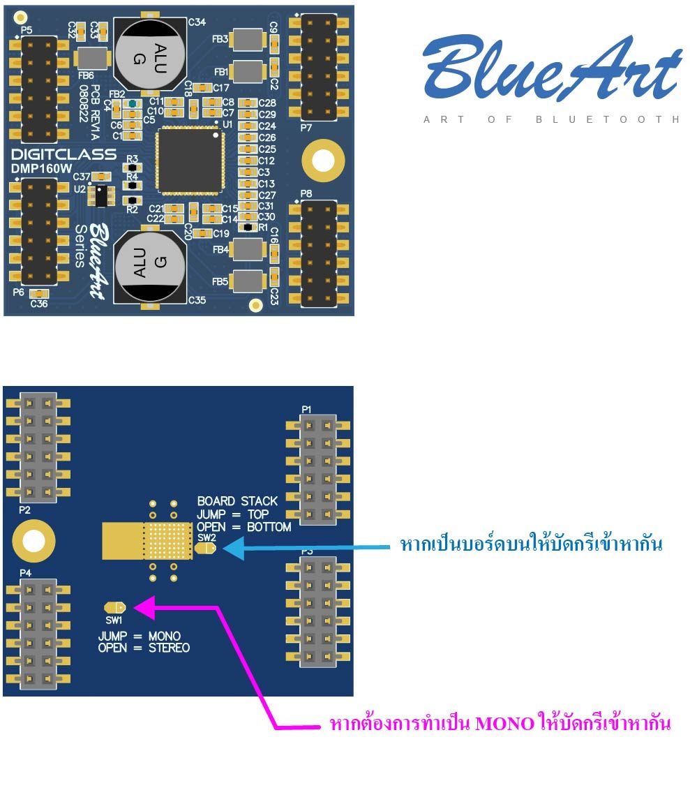 BlueArt DMP160W